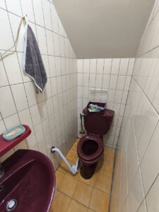 馬桶旁L型扶手施工前